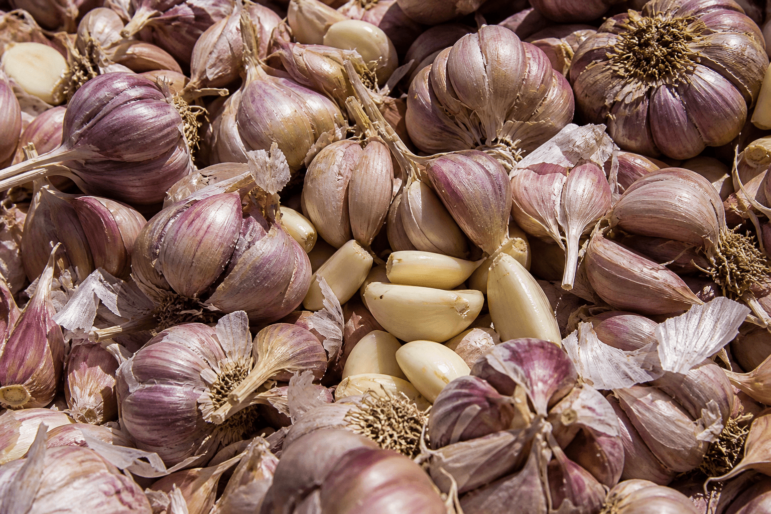 Fresh raw garlic cloves