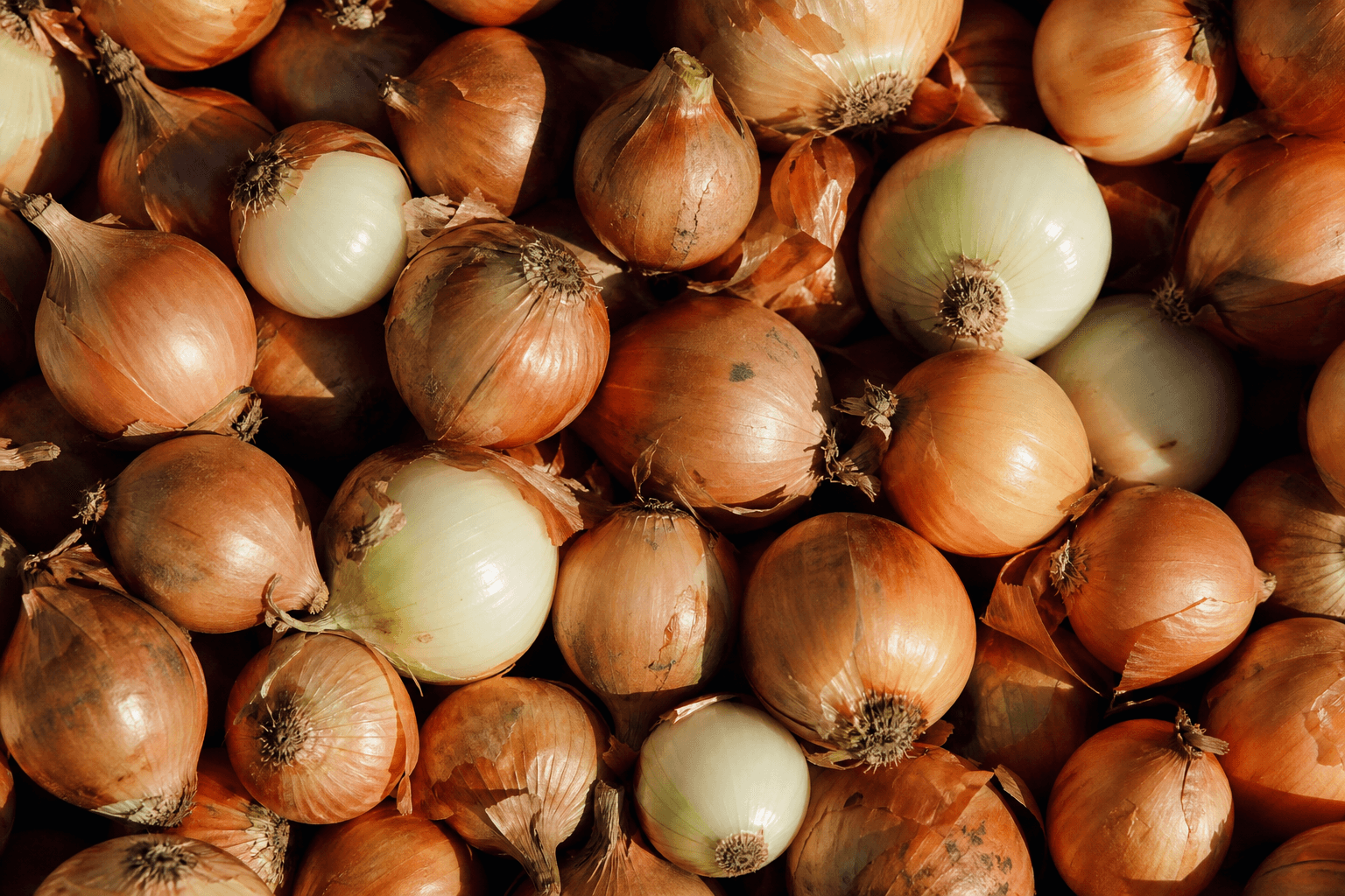 Fresh raw onions